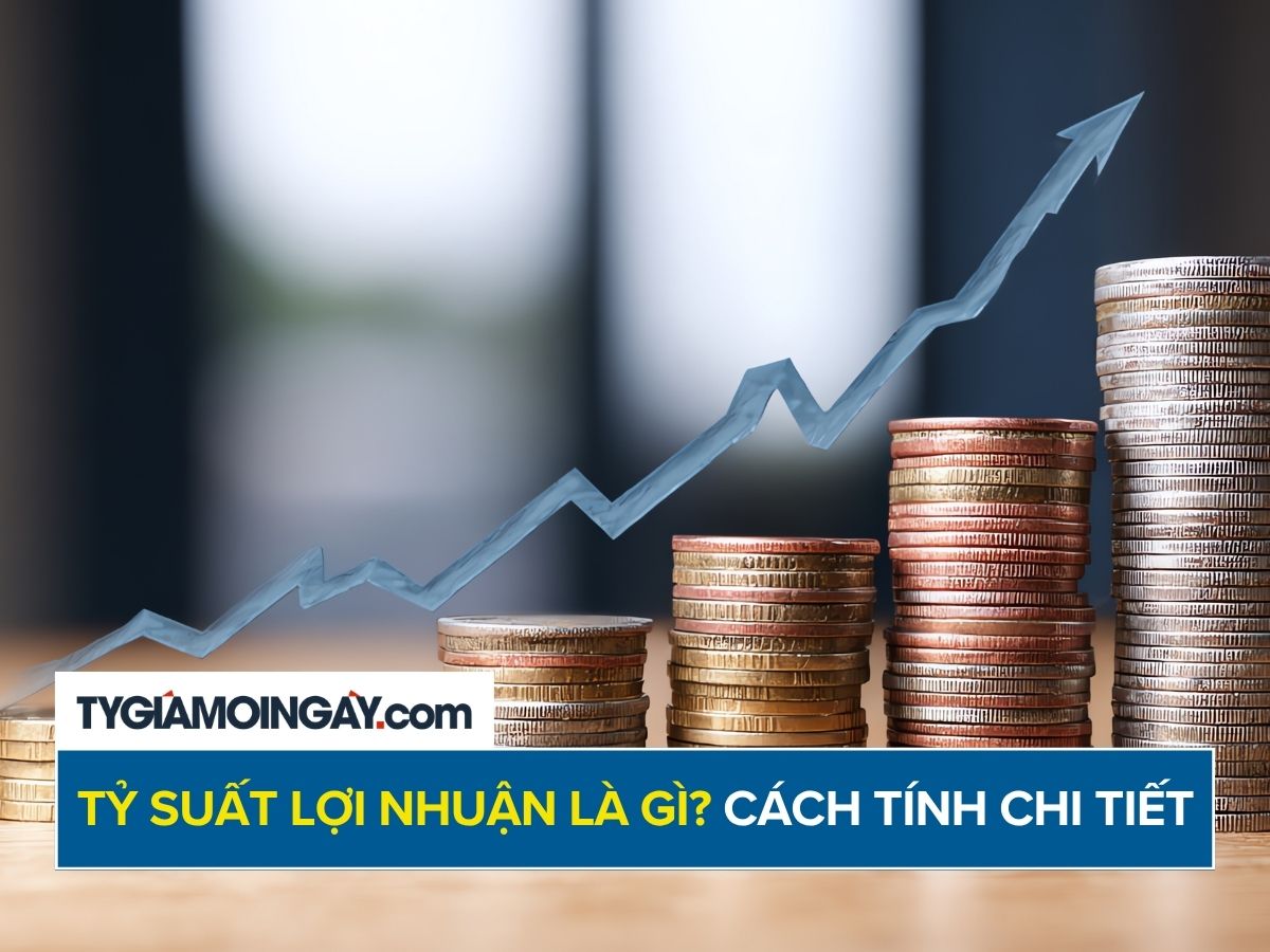 Tỷ suất lợi nhuận là gì? Cách tính chi tiết và ứng dụng thực tế