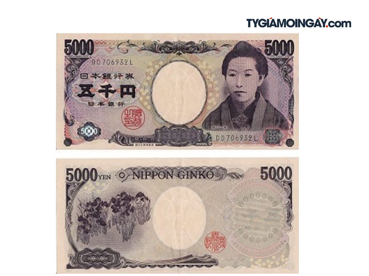 5000-yencu.jpeg