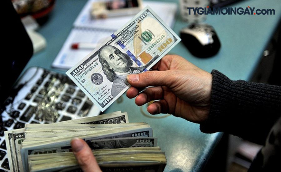 Giá USD hôm nay 20.11.2025: Đô tự do lao dốc mạnh