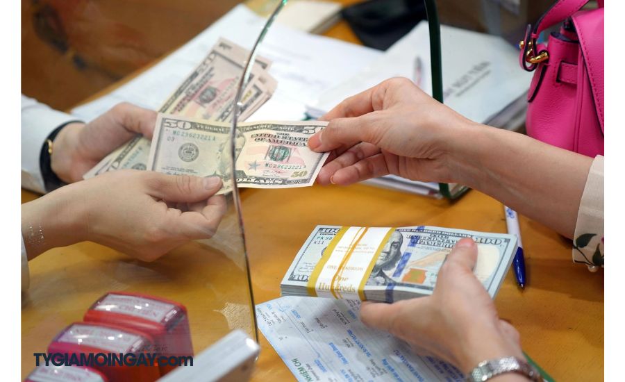 Thị trường 25/11: Vàng Nhẫn Giảm, USD Trượt Nhẹ