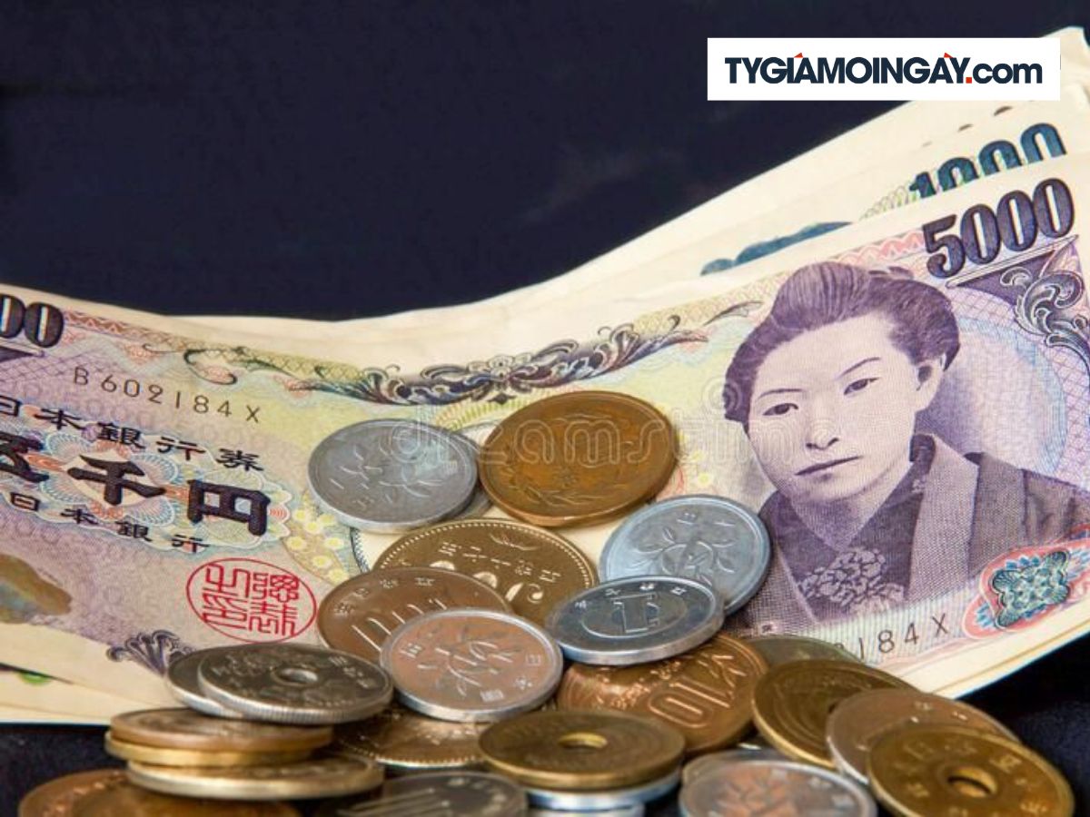 dongyennhatmanh.jpeg