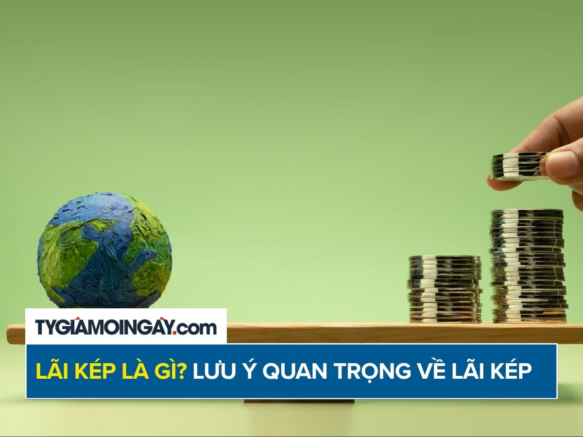 lai-kep-la-gi-luu-y-quan-trong-ve-lai-kep.jpeg