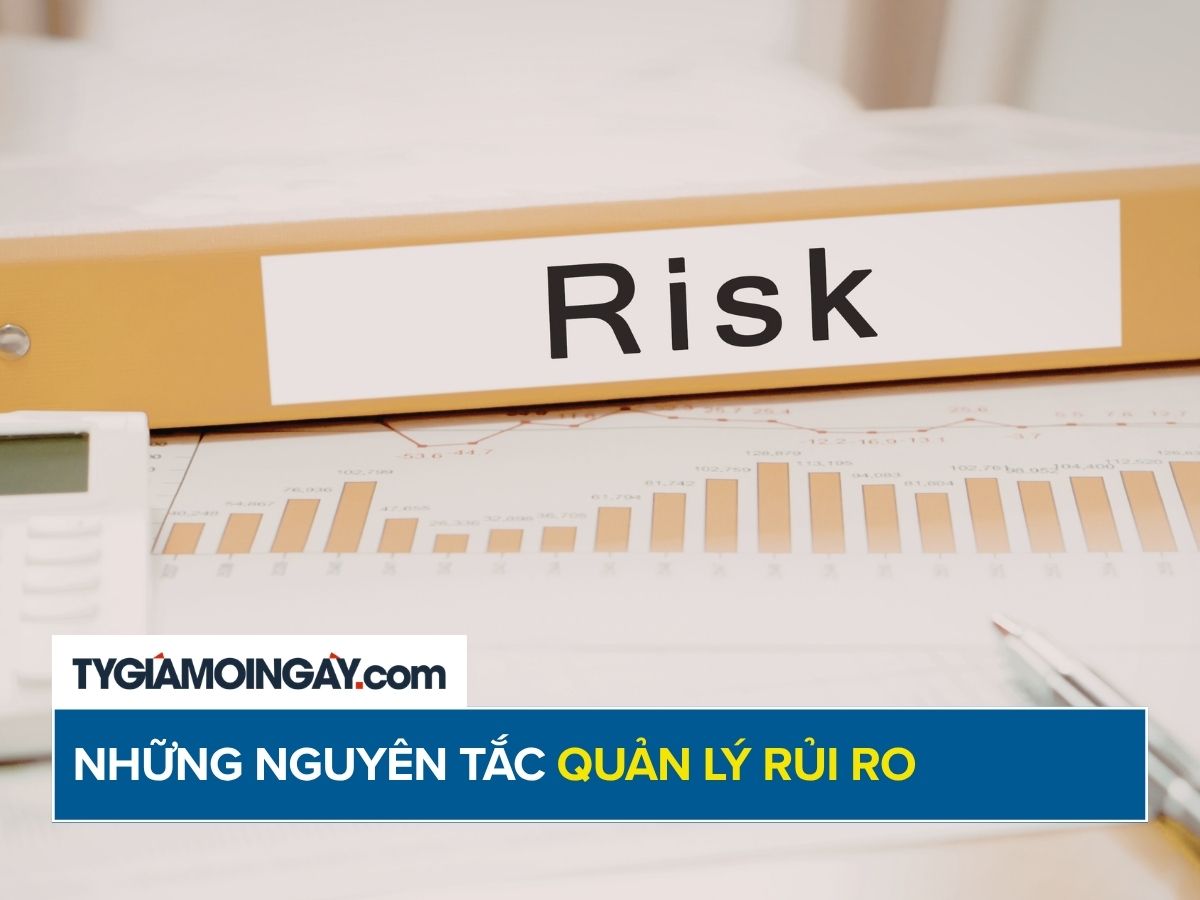 Những nguyên tắc quản lý rủi ro trong quá trình đầu tư kinh doanh