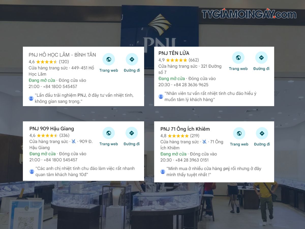 Công ty Vàng bạc Đá quý Phú Nhuận (PNJ)