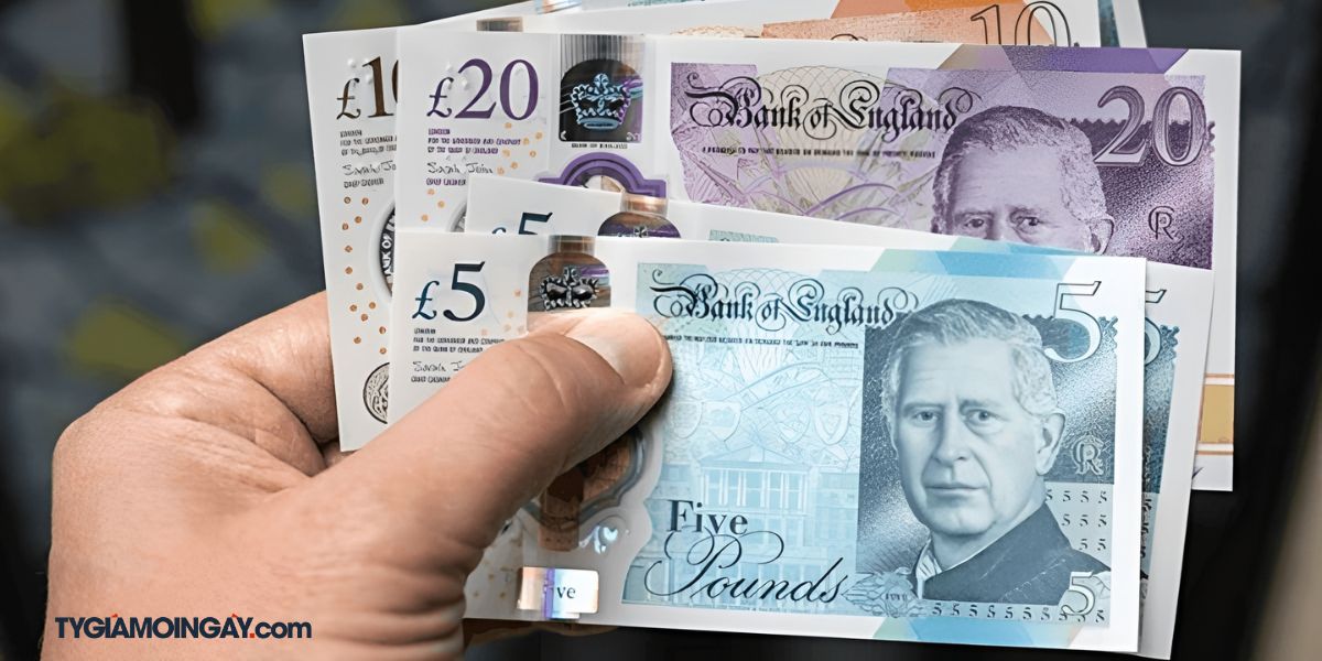 Cập nhật tỷ giá Bảng Anh Vietcombank (VCB) mới nhất 29/12/2025