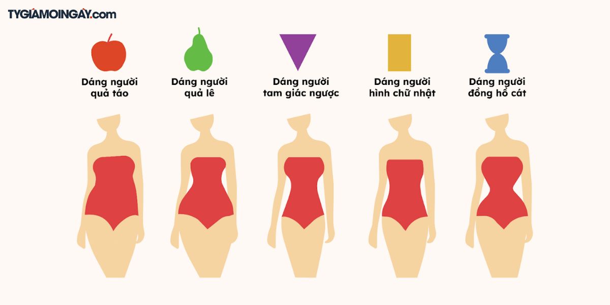 Cách chọn trang phục phù hợp dáng người giúp tự tin hơn