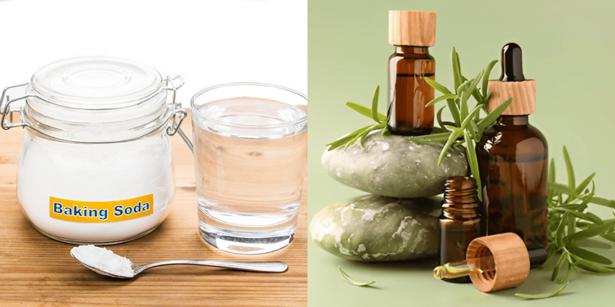 Mẹo khử mùi ẩm mốc phòng ngủ đơn giản, ai cũng làm được