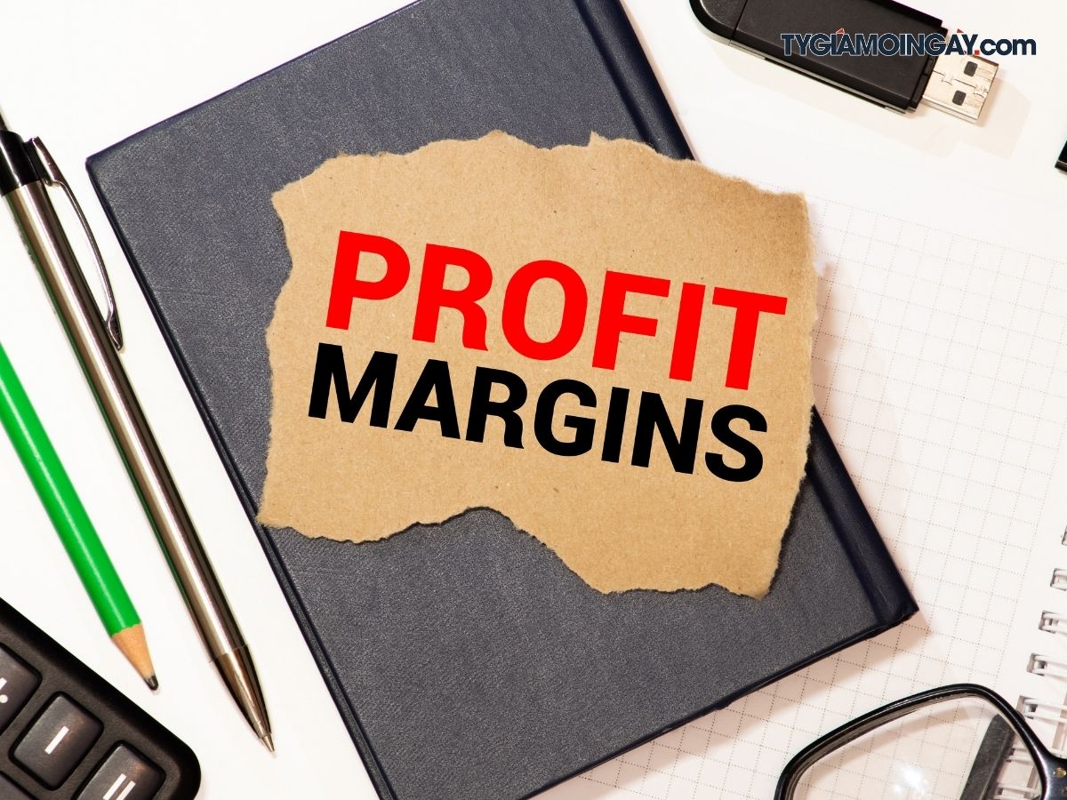 Tỷ suất lợi nhuận là gì? Cách tính chi tiết và ứng dụng thực tế 1